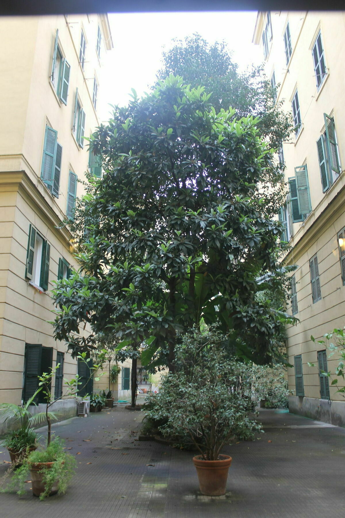 Rovati Guesthouse Roma Eksteriør bilde